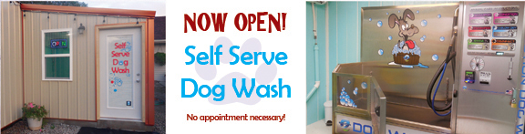 Self Serve Dog Wash